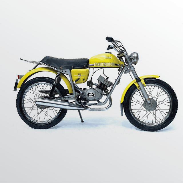 Kit Fantic Motor